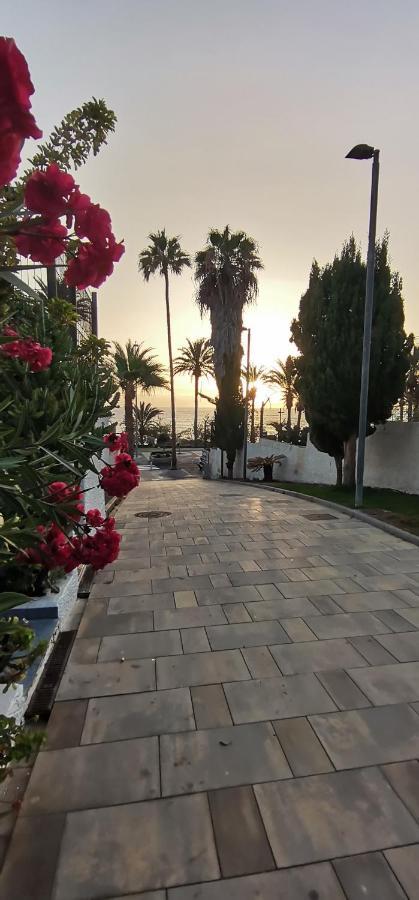 Apartamento Playa Las Americas Playa de las Americas  Ngoại thất bức ảnh